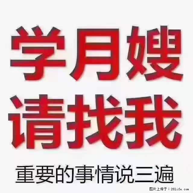 为什么要学习月嫂，育婴师？ - 其他广告 - 广告专区 - 铜川分类信息 - 铜川28生活网 tc.28life.net