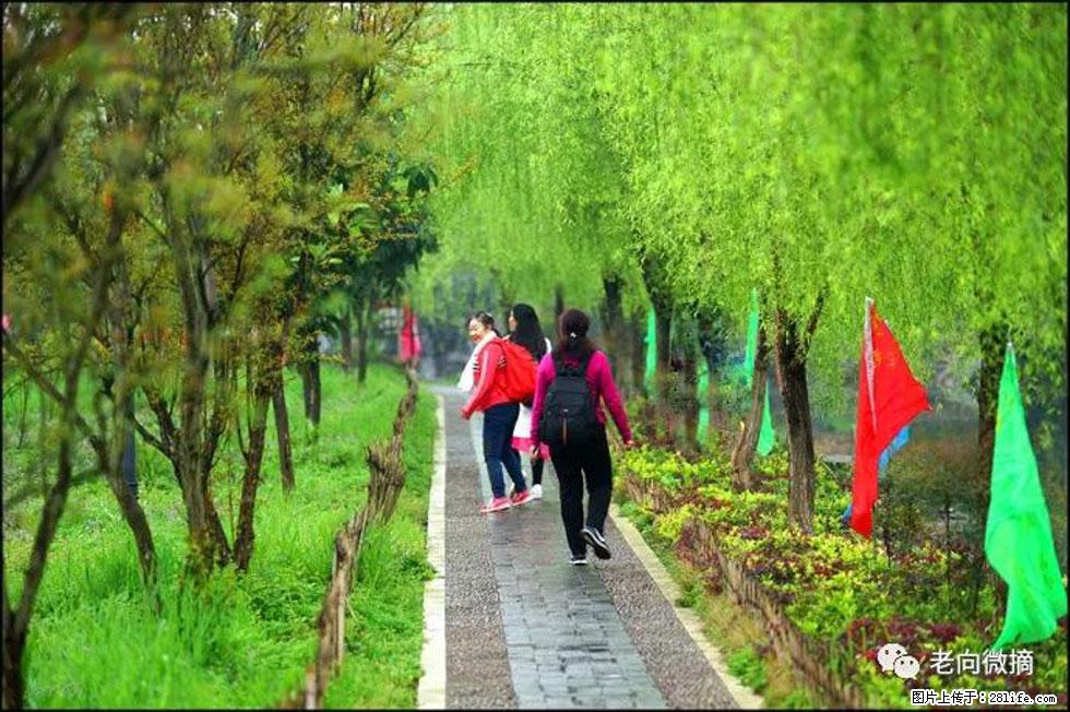 【春天，广西桂林灌阳县向您发出邀请！】江口老街又逢春 - 游山玩水 - 铜川生活社区 - 铜川28生活网 tc.28life.net