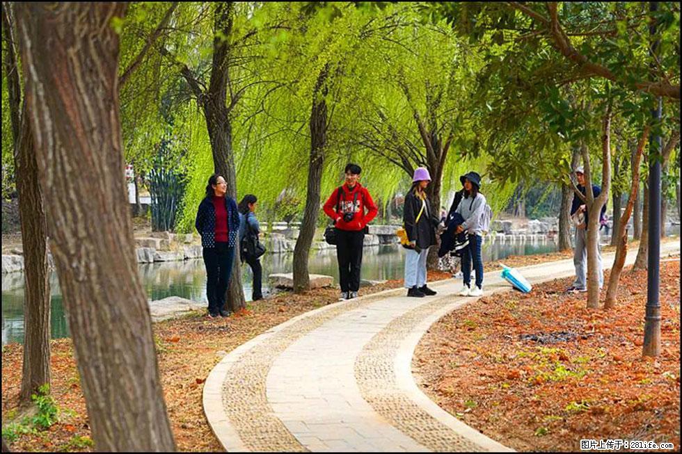 【春天，广西桂林灌阳县向您发出邀请！】江口老街又逢春 - 游山玩水 - 铜川生活社区 - 铜川28生活网 tc.28life.net