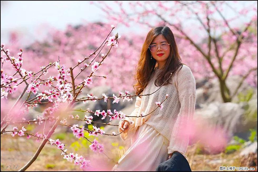 【春天，广西桂林灌阳县向您发出邀请！】望月岭上桃花开 - 游山玩水 - 铜川生活社区 - 铜川28生活网 tc.28life.net