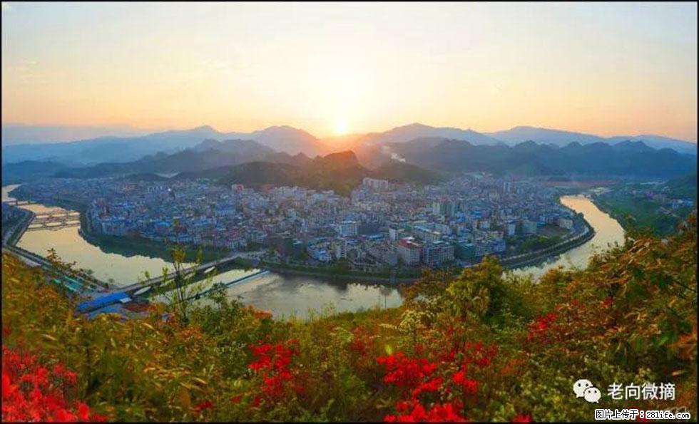 【春天，广西桂林灌阳县向您发出邀请！】登麒麟山，相约映山红 - 游山玩水 - 铜川生活社区 - 铜川28生活网 tc.28life.net
