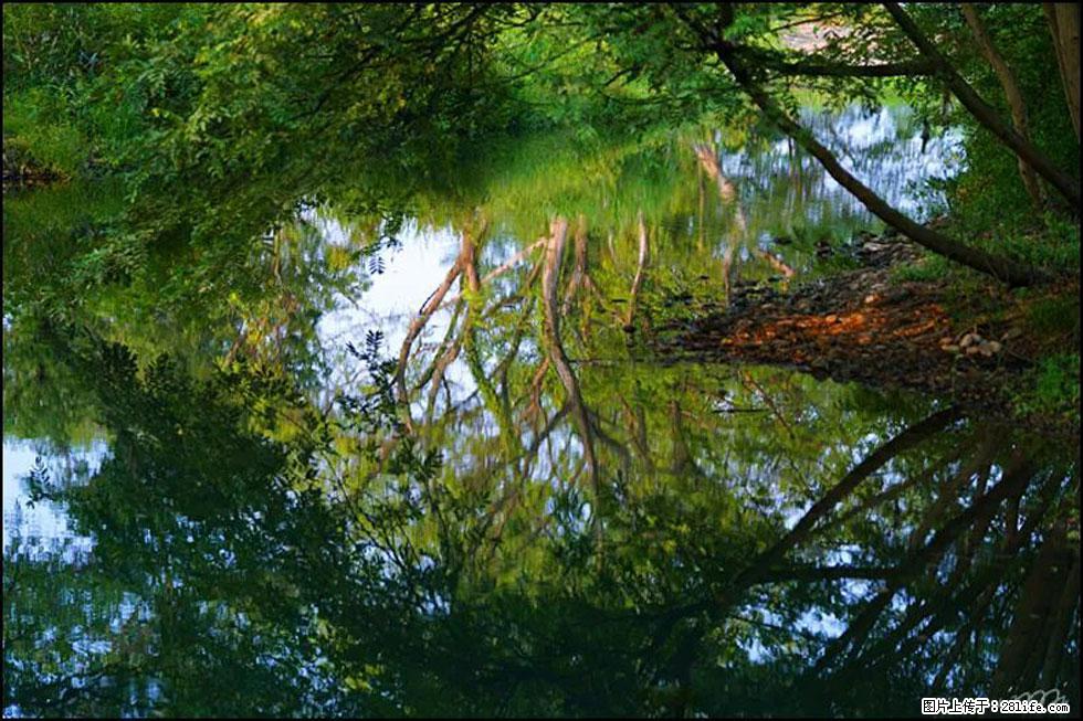 【春天，广西桂林灌阳县向您发出邀请！】熊家寨湿地公园 - 游山玩水 - 铜川生活社区 - 铜川28生活网 tc.28life.net