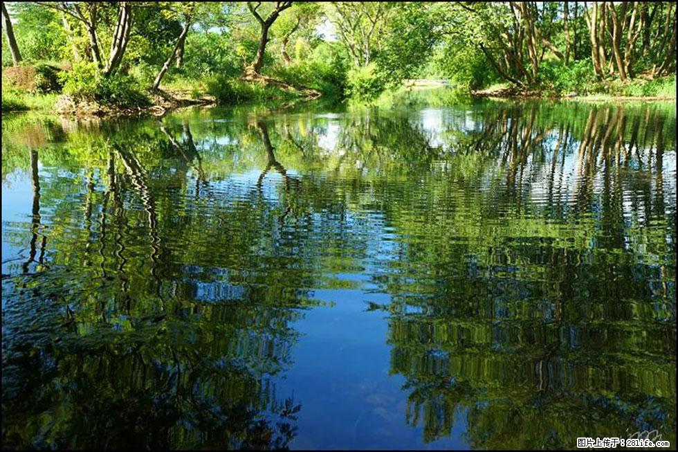 【春天，广西桂林灌阳县向您发出邀请！】熊家寨湿地公园 - 游山玩水 - 铜川生活社区 - 铜川28生活网 tc.28life.net