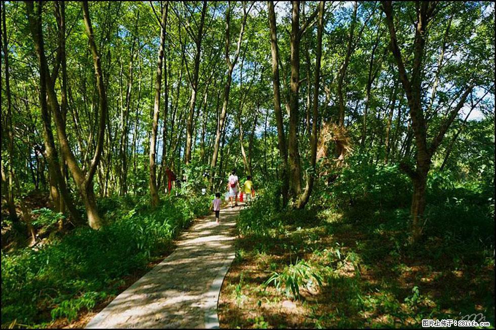 【春天，广西桂林灌阳县向您发出邀请！】熊家寨湿地公园 - 游山玩水 - 铜川生活社区 - 铜川28生活网 tc.28life.net