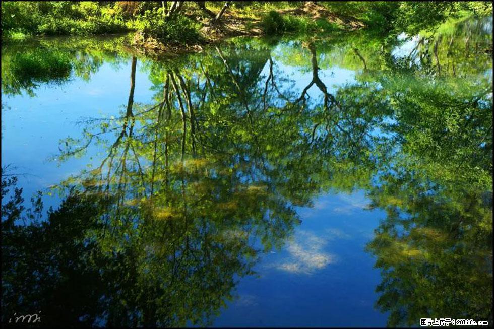 【春天，广西桂林灌阳县向您发出邀请！】熊家寨湿地公园 - 游山玩水 - 铜川生活社区 - 铜川28生活网 tc.28life.net