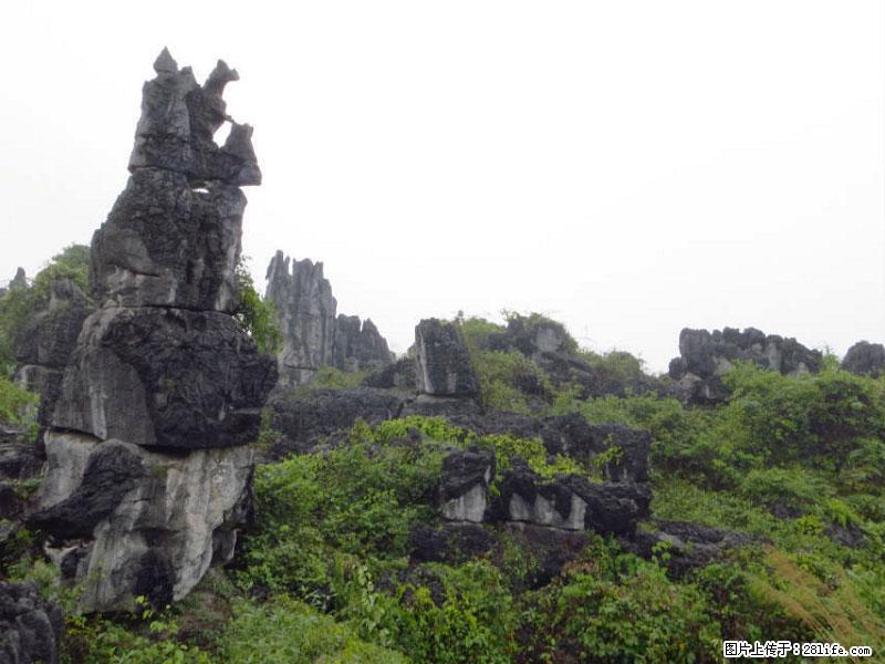 桂林旅游名城景点：灌阳文市石林 - 游山玩水 - 铜川生活社区 - 铜川28生活网 tc.28life.net