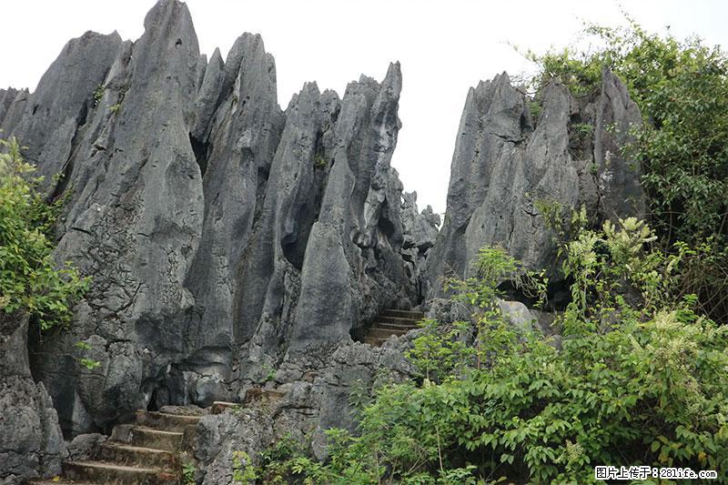 桂林旅游名城景点：灌阳文市石林 - 游山玩水 - 铜川生活社区 - 铜川28生活网 tc.28life.net