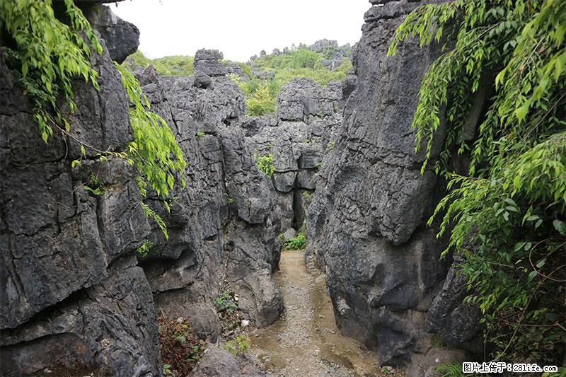 桂林旅游名城景点：灌阳文市石林 - 游山玩水 - 铜川生活社区 - 铜川28生活网 tc.28life.net