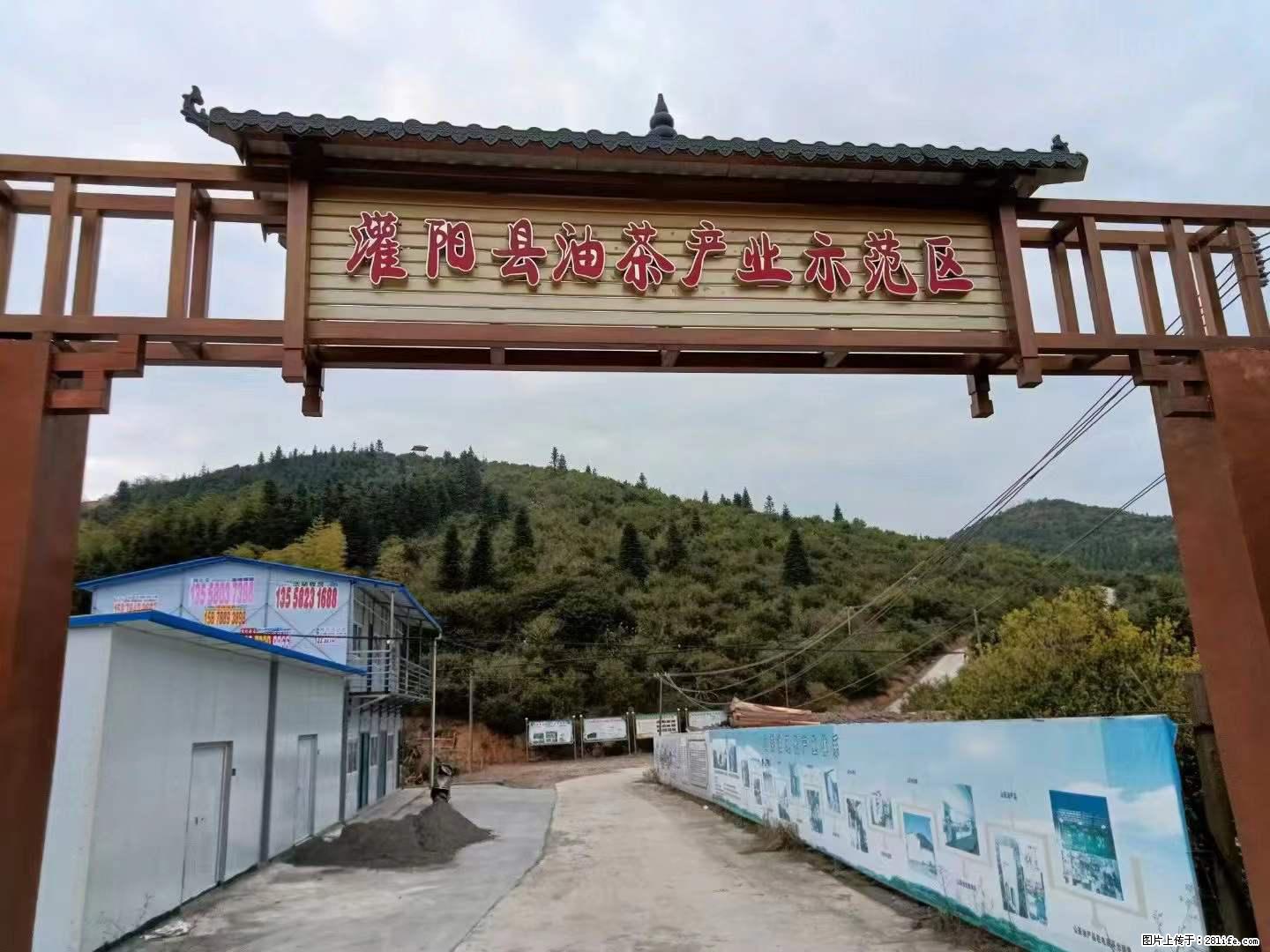 【灌阳县油茶产业示范区】一个有着充实的精神生活的人，对待身外之物自会有一种淡泊的态度 - 土特产 - 饮食特产 - 铜川分类信息 - 铜川28生活网 tc.28life.net