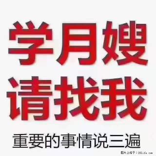 为什么要学习月嫂，育婴师？ - 铜川28生活网 tc.28life.net