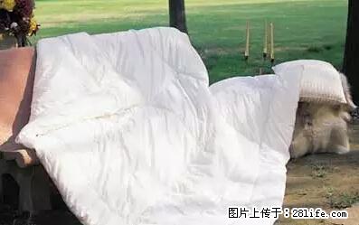 被子有异味？只要这样做，比晒太阳还强100倍！ - 家居生活 - 铜川生活社区 - 铜川28生活网 tc.28life.net