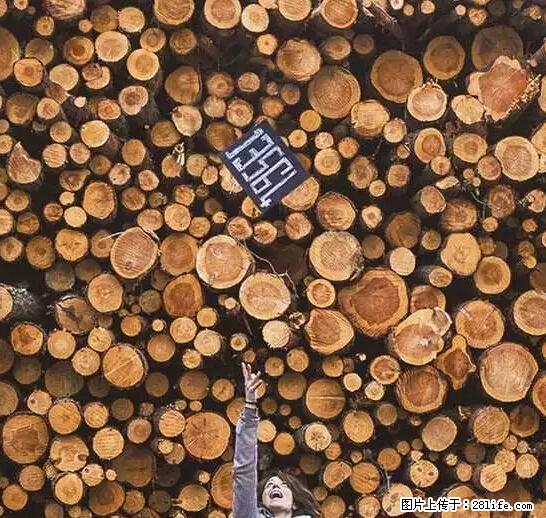 辞掉工作周游世界？现在他们在洗厕所…… - 游山玩水 - 铜川生活社区 - 铜川28生活网 tc.28life.net