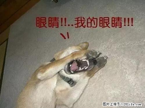 笑癫了！一女的怀孕三年未生，他终于忍不住了... - 娱乐八卦 - 铜川生活社区 - 铜川28生活网 tc.28life.net