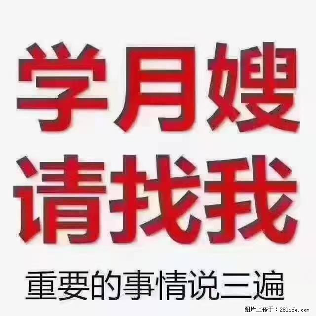 【招聘】月嫂，上海徐汇区 - 职场交流 - 铜川生活社区 - 铜川28生活网 tc.28life.net