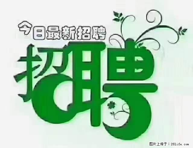 上海隔离酒店招人：55岁以下 男女不限 - 职场交流 - 铜川生活社区 - 铜川28生活网 tc.28life.net
