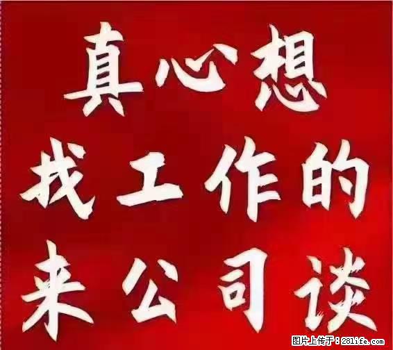 【上海】国企，医院招两名男保安，55岁以下，身高1.7米以上，无犯罪记录不良嗜好 - 职场交流 - 铜川生活社区 - 铜川28生活网 tc.28life.net