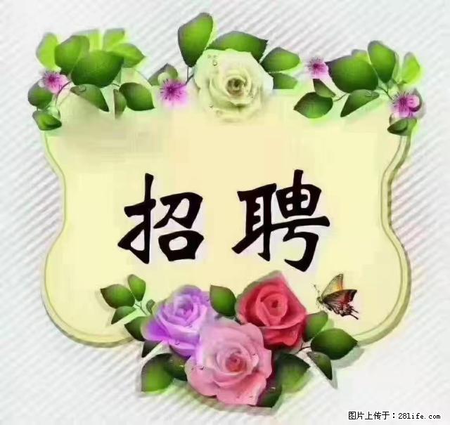 【招聘】住家育儿嫂，上户日期：4月4日，工作地址：上海 黄浦区 - 职场交流 - 铜川生活社区 - 铜川28生活网 tc.28life.net