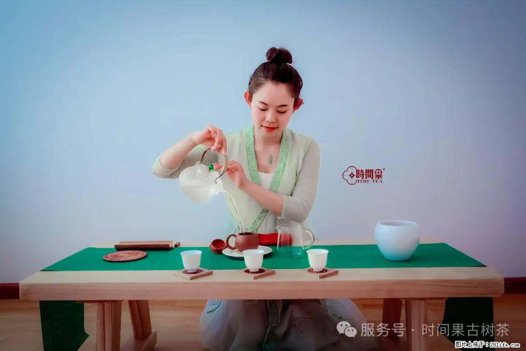 时间果百年古树龙珠普洱生茶 - 购物交流 - 铜川生活社区 - 铜川28生活网 tc.28life.net