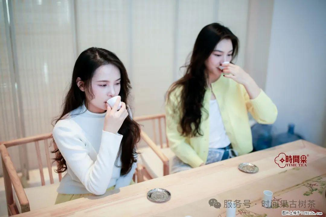 时间果百年古树龙珠普洱生茶 - 购物交流 - 铜川生活社区 - 铜川28生活网 tc.28life.net