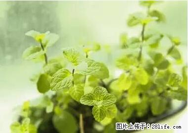 晕车、脚气、牙齿变黄、皮肤粗糙?学会这些三分钟搞定! - 铜川生活资讯 - 铜川28生活网 tc.28life.net