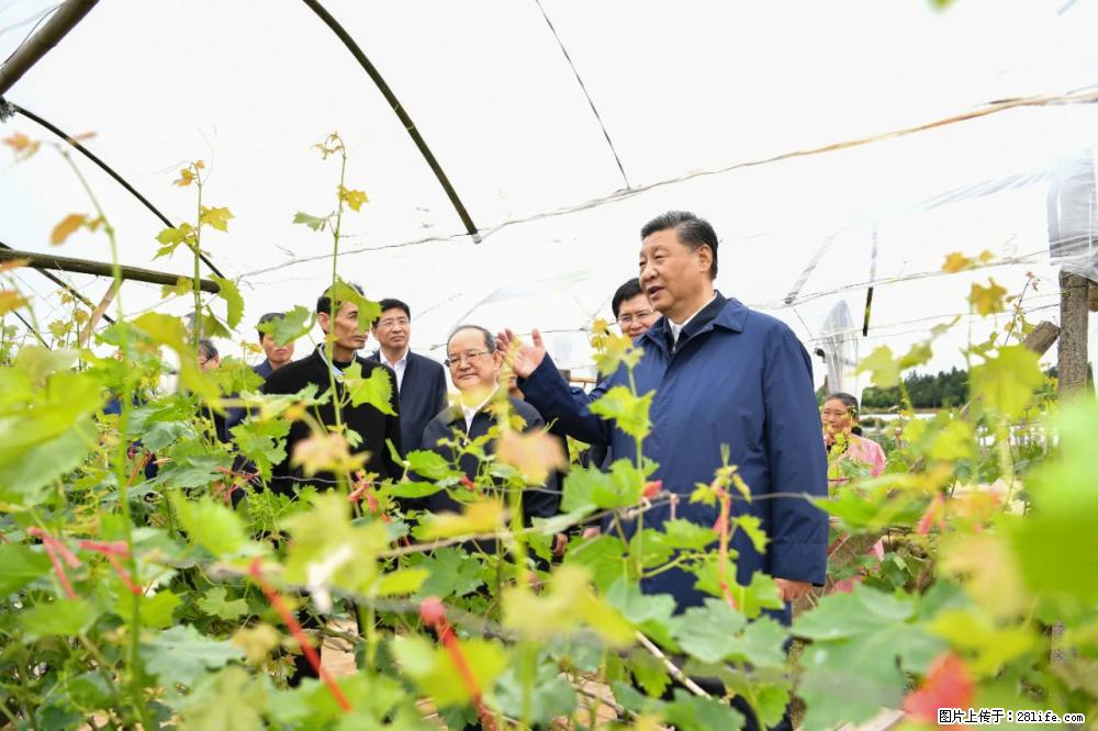 习近平赴广西考察调研 - 铜川生活资讯 - 铜川28生活网 tc.28life.net