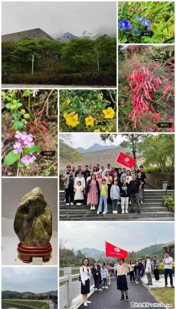 “粤灌文化 美好生活”油茶文化主题活动在广东深圳成功举办 - 铜川生活资讯 - 铜川28生活网 tc.28life.net