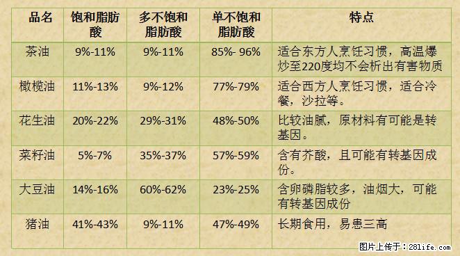 揭秘茶油的5大核心营养成分！被称为人体健康的“守护盾”！ - 铜川生活资讯 - 铜川28生活网 tc.28life.net