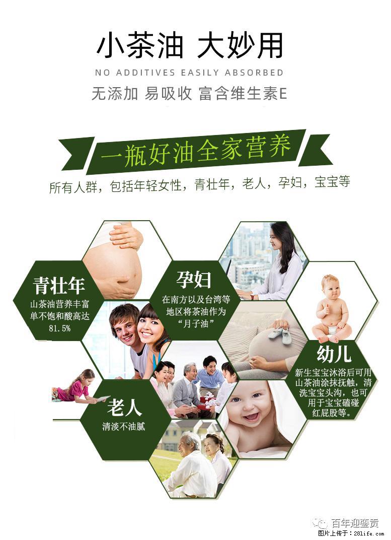 世界没有真相，只有认知，最好的食用油是中国的山茶油！ - 铜川生活资讯 - 铜川28生活网 tc.28life.net