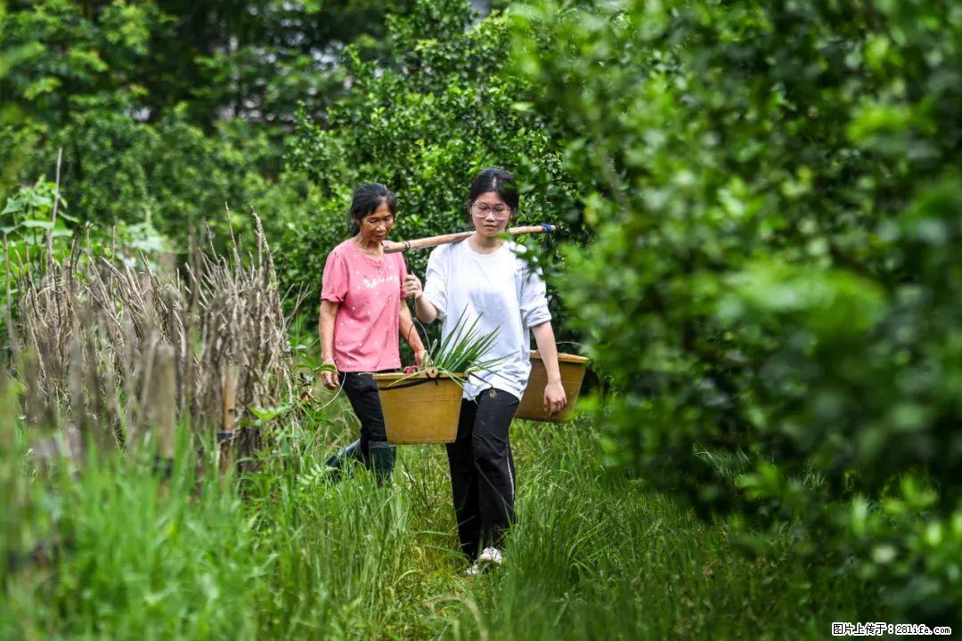 全网追的“扁担女孩”，找了一份暑假工，时薪12元 - 铜川生活资讯 - 铜川28生活网 tc.28life.net