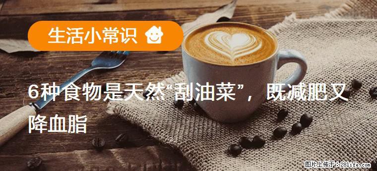 【生活小常识】6种食物是天然“刮油菜”，既减肥又降血脂 - 铜川生活资讯 - 铜川28生活网 tc.28life.net