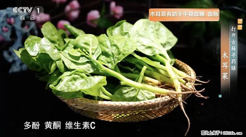 比牛奶补钙还厉害！凉血解毒、稳血糖...这菜冬天必吃，很多人却当草 - 铜川生活资讯 - 铜川28生活网 tc.28life.net