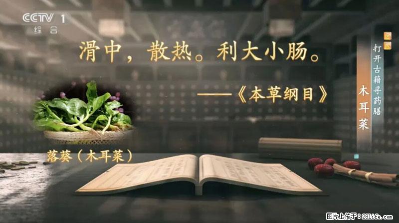 比牛奶补钙还厉害！凉血解毒、稳血糖...这菜冬天必吃，很多人却当草 - 铜川生活资讯 - 铜川28生活网 tc.28life.net