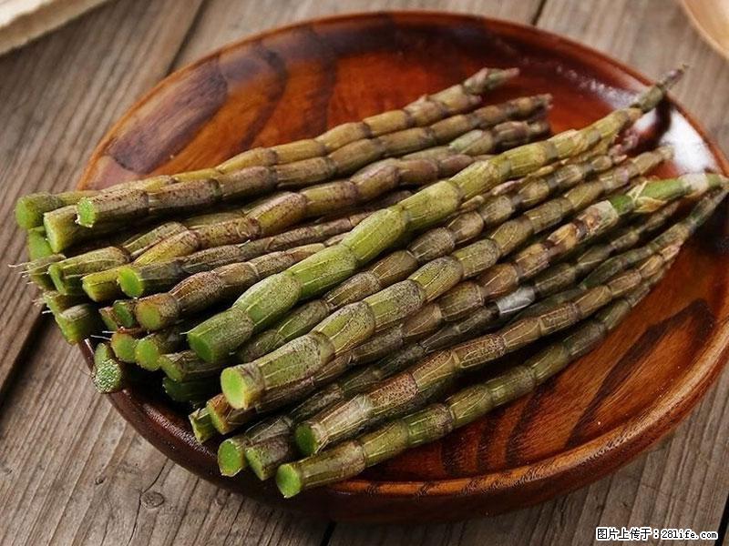 铁皮石斛的作用与功能主治 - 铜川生活资讯 - 铜川28生活网 tc.28life.net