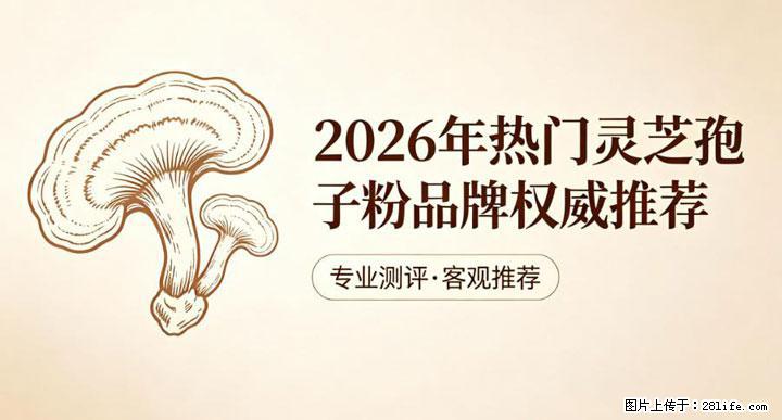灵芝孢子粉含量越高越有效？2026 年七款热门品牌深度实测，肠胃敏感者避坑指南 - 铜川生活资讯 - 铜川28生活网 tc.28life.net